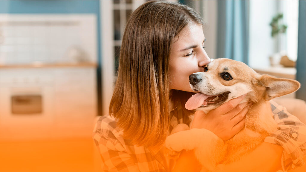 Seu pet comportado e obediente em qualquer idade.