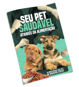 ALIMENTAÇÃO SAUDÁVEL