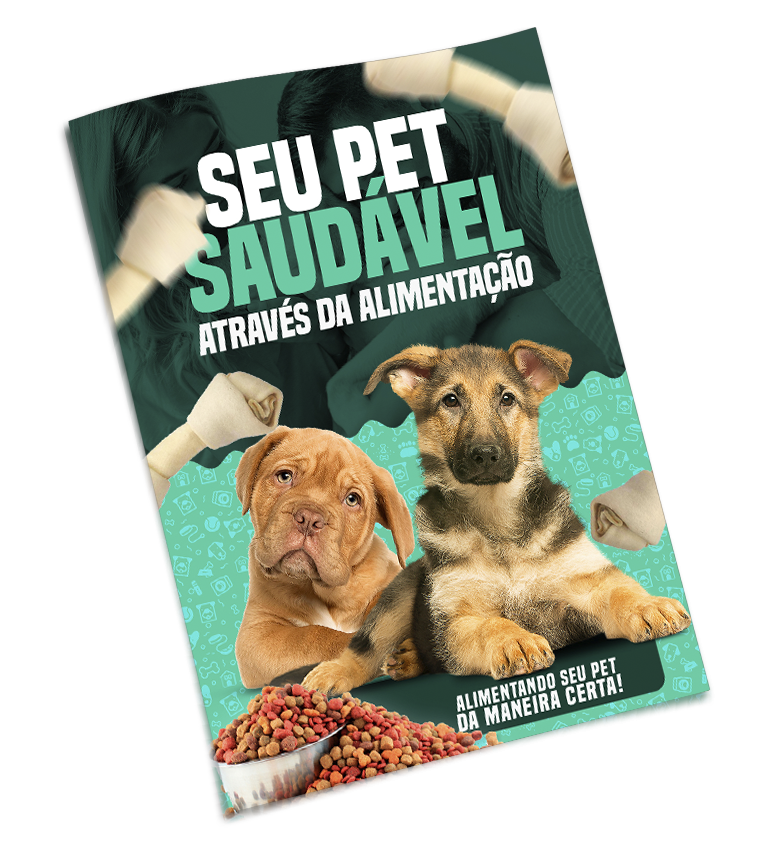 ALIMENTAÇÃO SAUDÁVEL