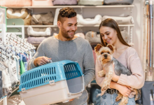 Do Escritório de Contabilidade ao Mundo Canino: Uma Jornada de Propósito e Paixão
